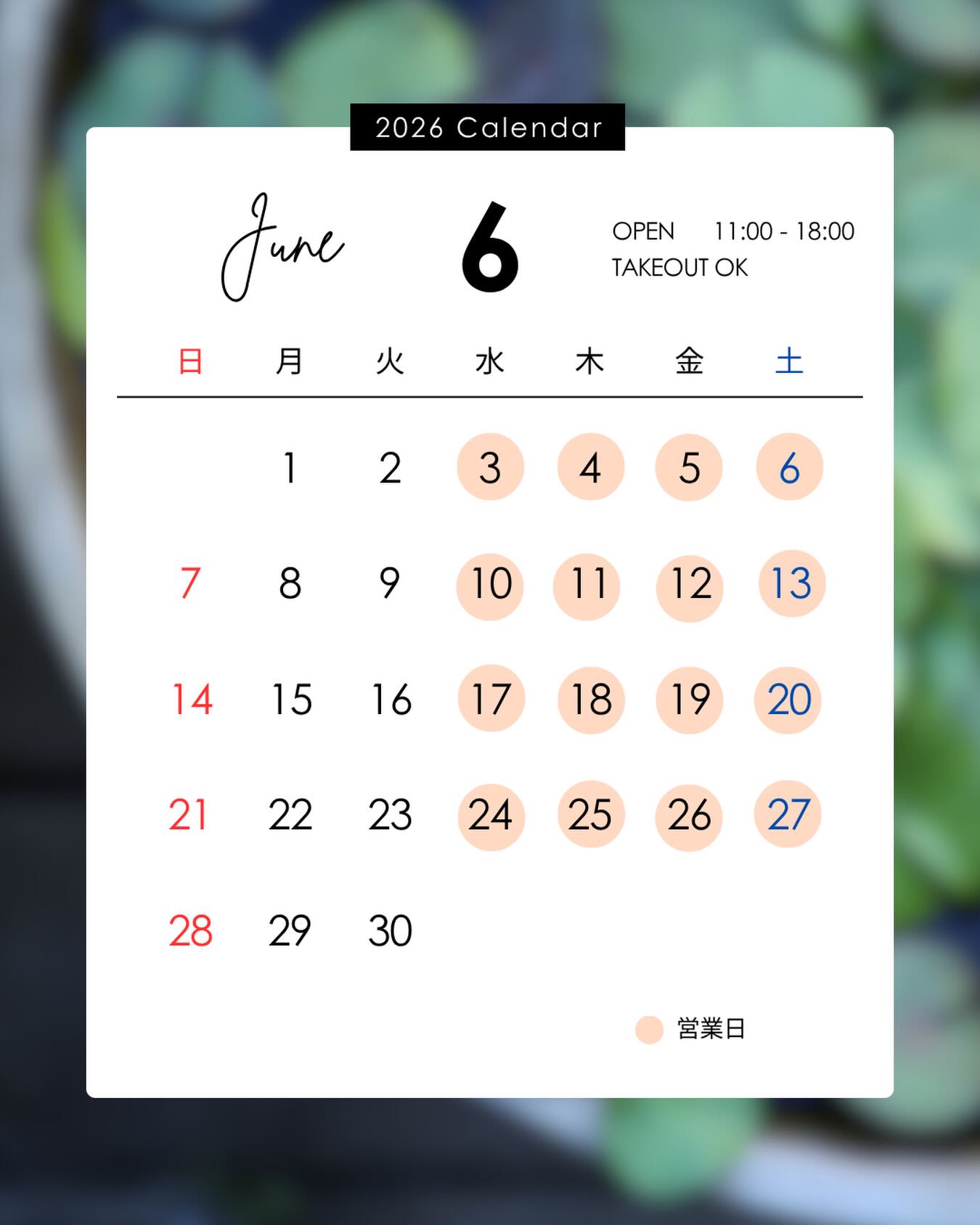 きっぽ 2026年6月の営業カレンダー(水曜〜土曜営業・11:00〜18:00)